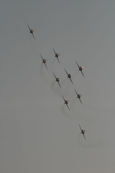 Red Arrows (10)